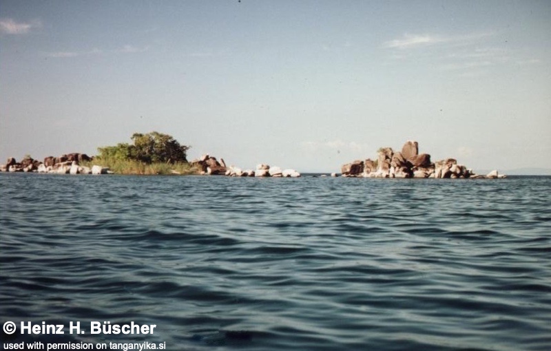 Zongwe Island 01